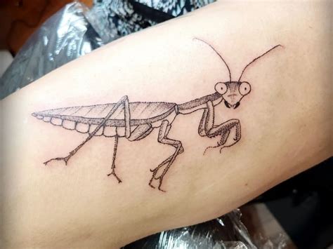 insect tattoo designs|More.